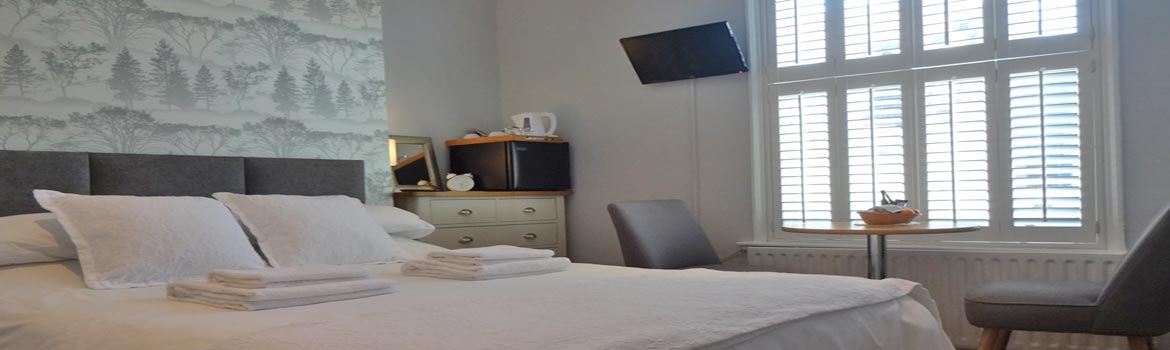 Aquarium Guest House KindSize Room