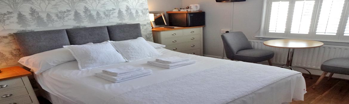 Aquarium Guest House Sea View Room